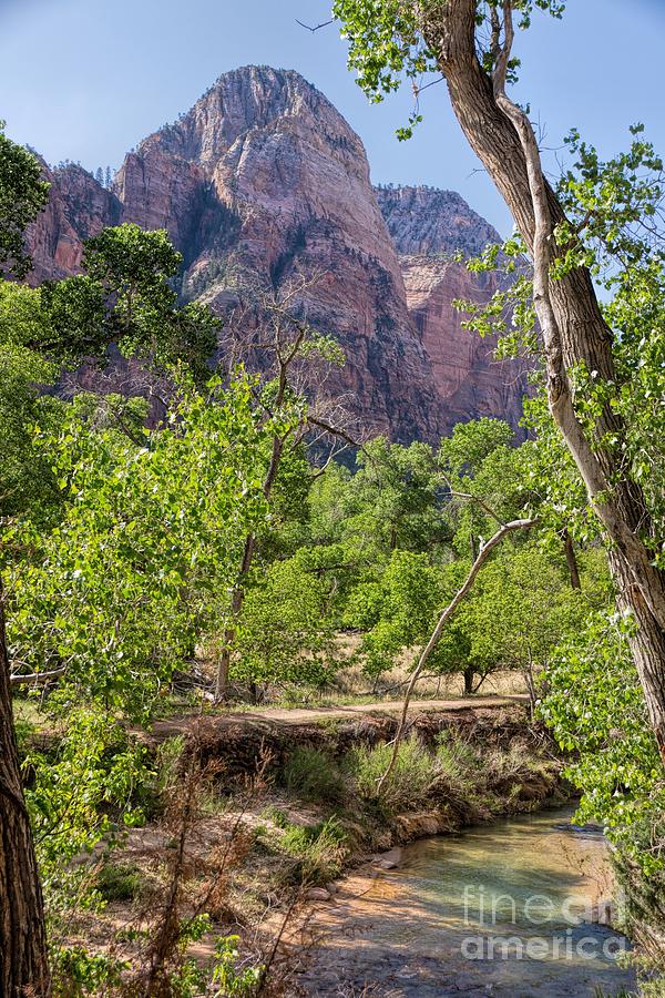 Virgin River at Zion #1 Photograph by Peggy Hughes