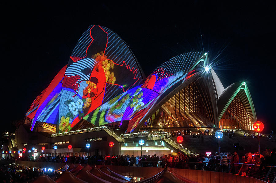 Vivid Sydney At Opera House Photograph By Daniela Constantinescu