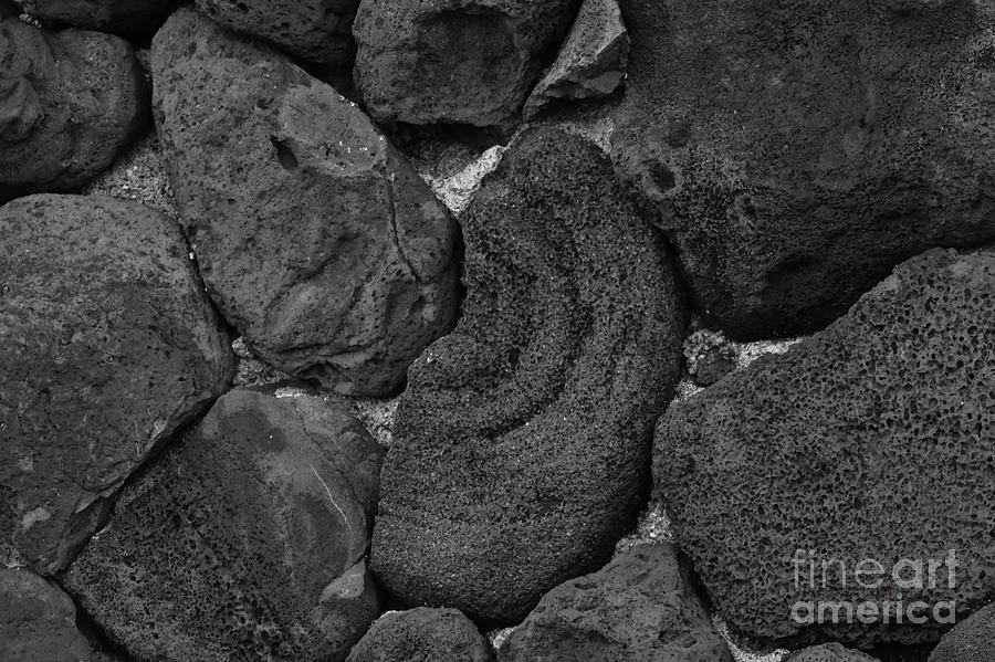 Volcanic Rock Wall  #1 Photograph by Craig Wood
