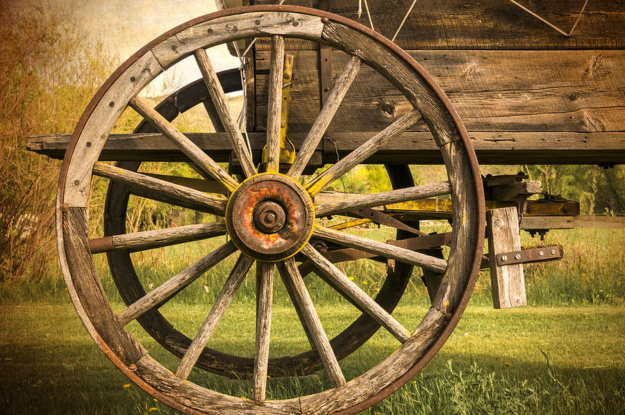 Wagon Wheel #1 Photograph by Maria Coulson
