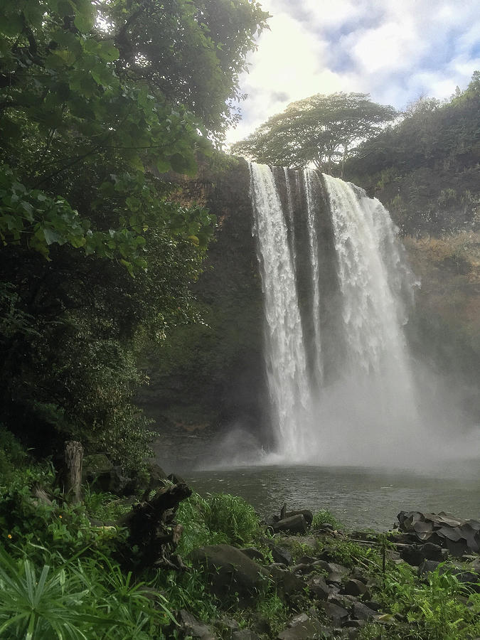 Wailua Falls 2 #1 Photograph by Teresa Wilson