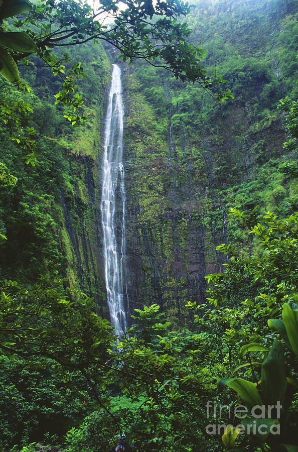 Waimoku Falls Photograph by Dave Fleetham - Printscapes