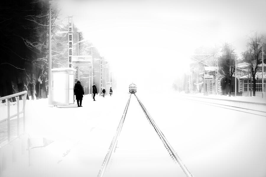 Waiting In The White Winter Photograph by Aleksandrs Drozdovs