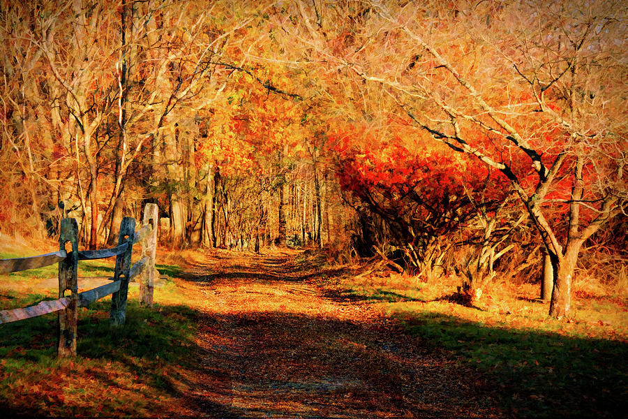 Walking Down The Autumn Path #1 Photograph by Jeff Folger