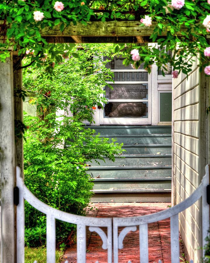 Walkway Gate #1 Photograph by Jerry Sodorff
