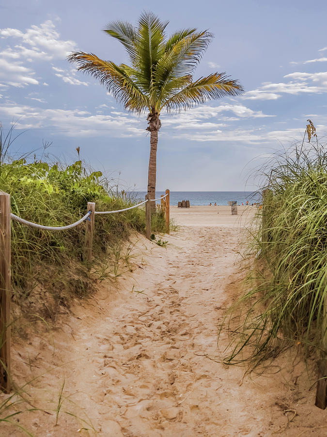 Nature Photograph - Walkway to the beach					 #1 by Zina Stromberg