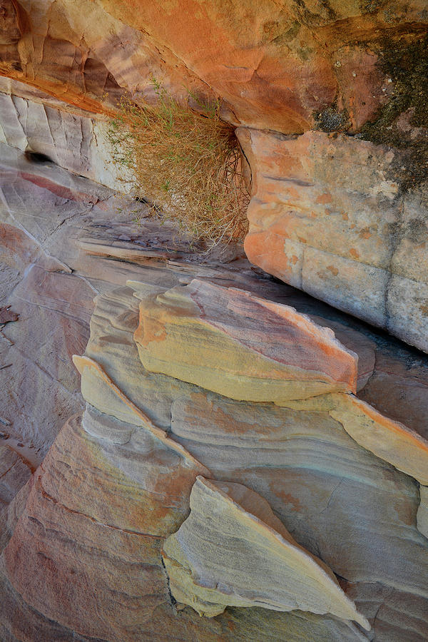 Walls of Color in Valley of Fire #1 Photograph by Ray Mathis