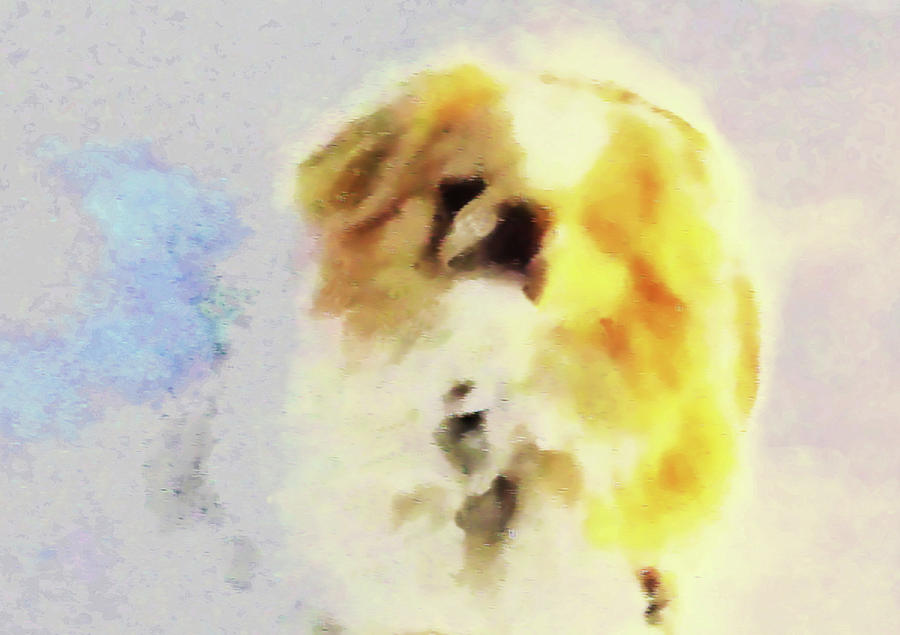 Wasabi, dog painted. by Roger Bester Wasabi, dog painted. by Roger Bester