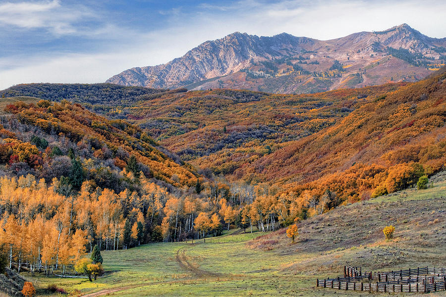 Wasatch Moutains Utah #1 Photograph by Douglas Pulsipher