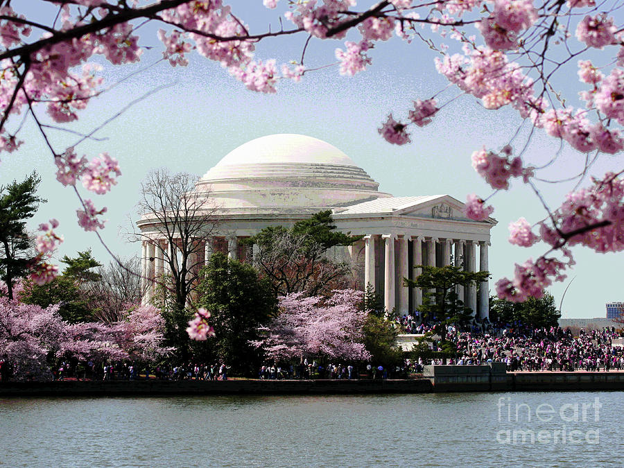 Washington DC Cherry Blossoms #1 Photograph by Larry Oskin