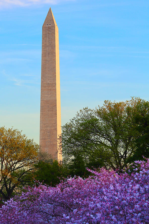Washington Monument Spring Photograph