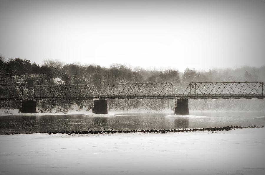 Geese Photograph - Washingtons Crossing Bridge #1 by Bill Cannon