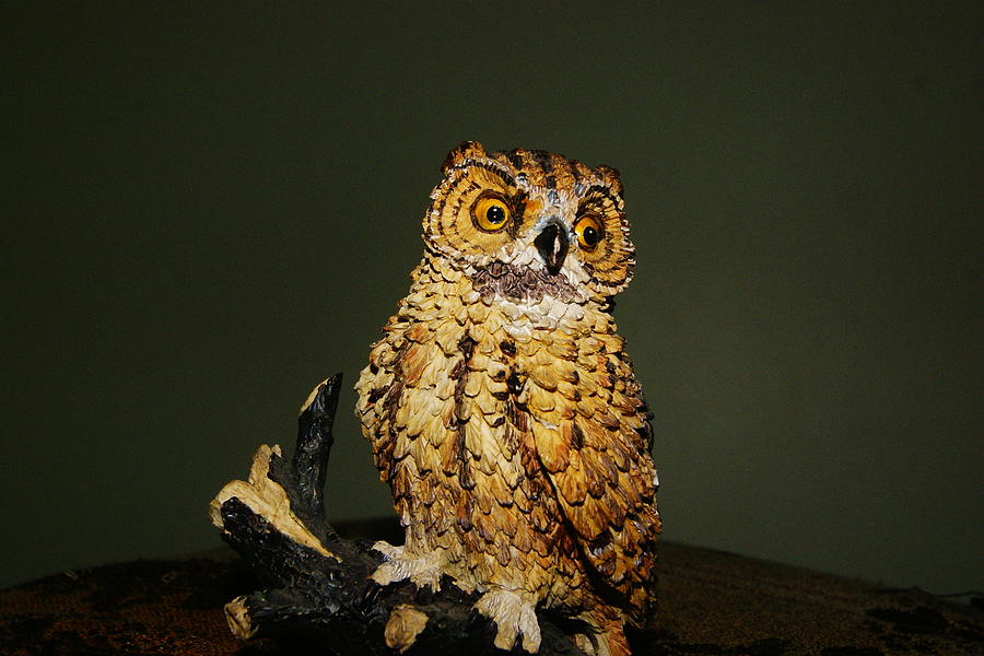 Owl Photograph - Watchful Owl #1 by Joshua Tillery