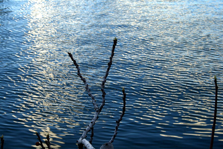 Water 003 #1 Photograph by Fabio Agostini - Pixels