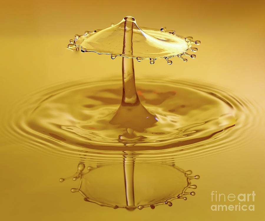 Water Drop Collisions #1 Photograph by Colin Rayner