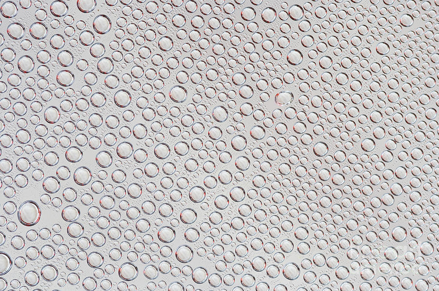 Water Drops #1 Photograph by Michal Boubin