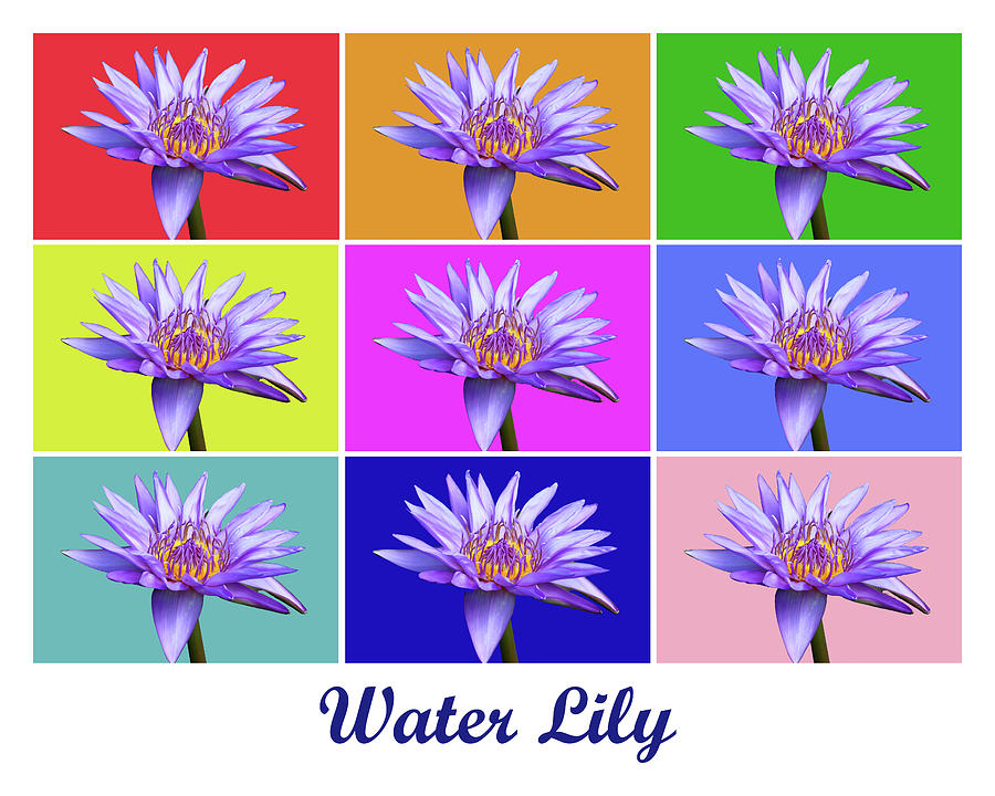 Water Lily x9 Titled #1 Photograph by Lou Ford