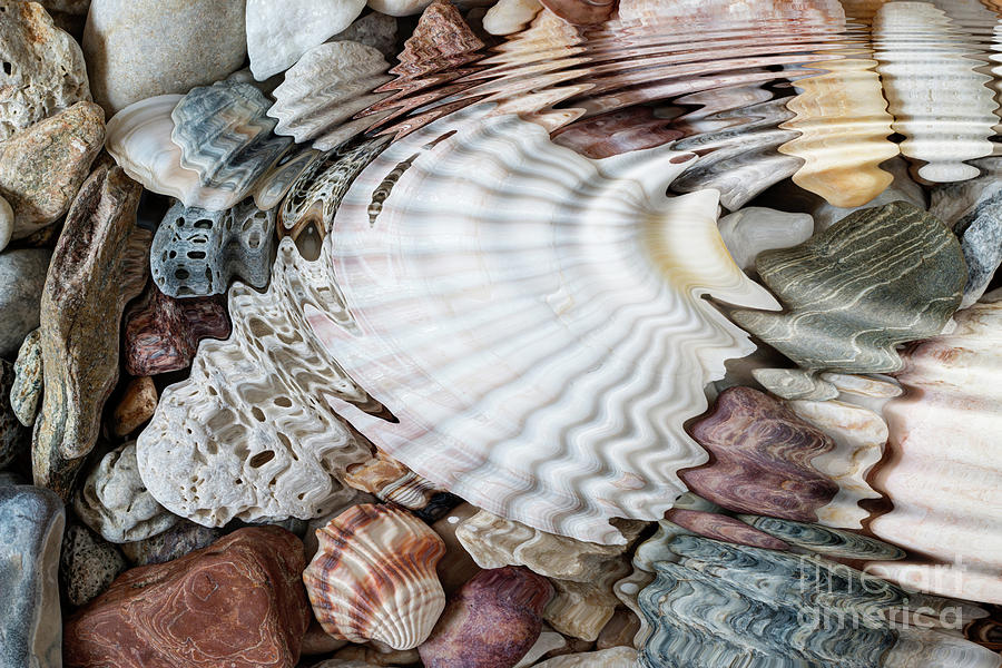 Water ripples above pebbles and seashells #1 Photograph by Michal Boubin