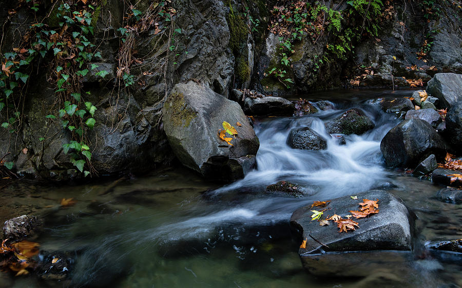 Water stream flowing in the river in autumn #1 Photograph by Michalakis Ppalis