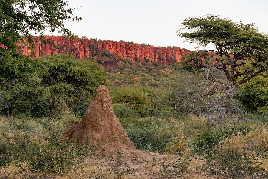 Waterberg - Namibia #1 Photograph by Joana Kruse