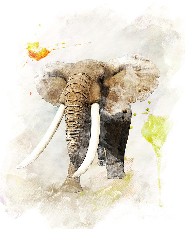 Watercolor Image Of Elephant Digital Art by Svetlana Foote - Fine Art ...