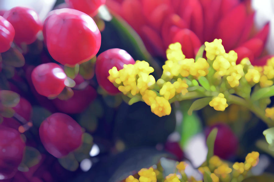 colorful flower petals