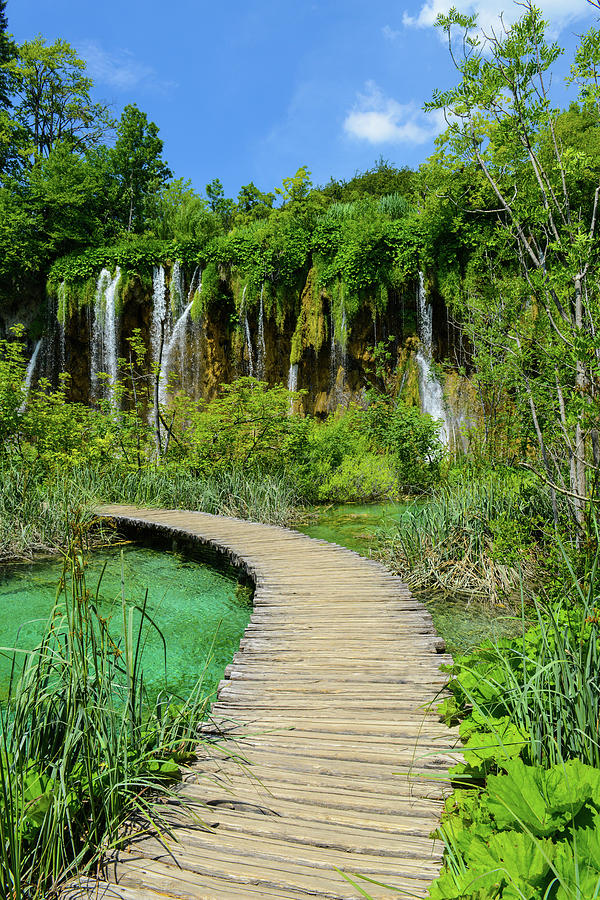 Waterfall and Wooden Path in Plitvice National Park in Croatia #1 Photograph by Brandon Bourdages