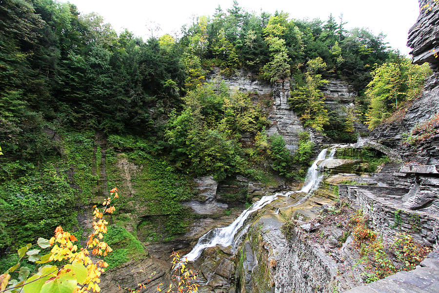 Waterfall Photograph - Waterfall at Robert Treman State Park II by Trina  Ansel