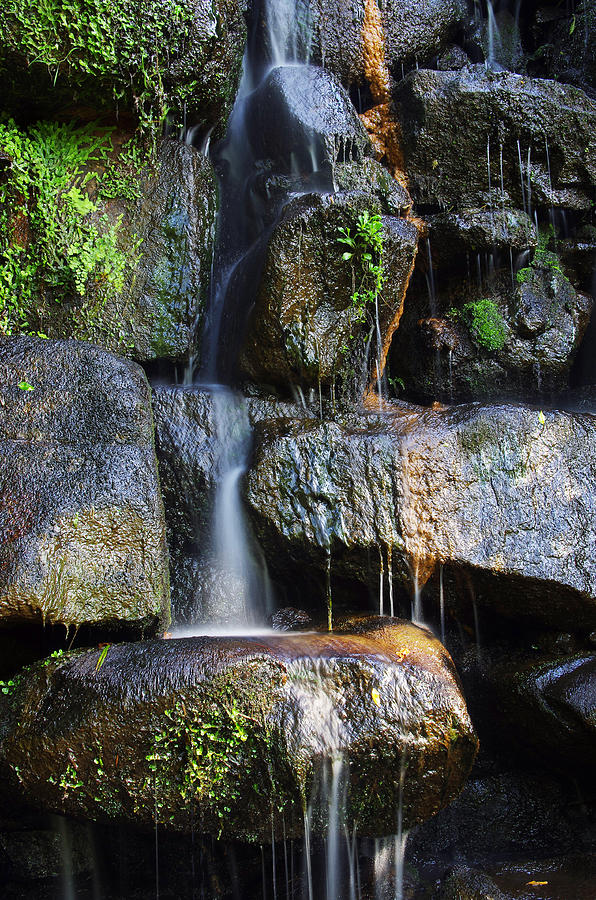 Waterfall #1 Photograph by Carlos Caetano