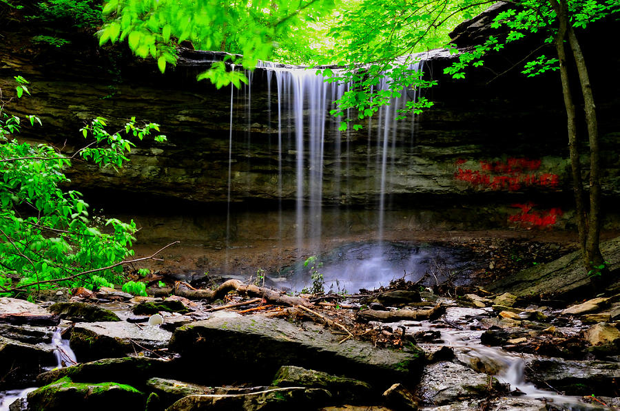 Waterfall #1 Photograph by David Arment