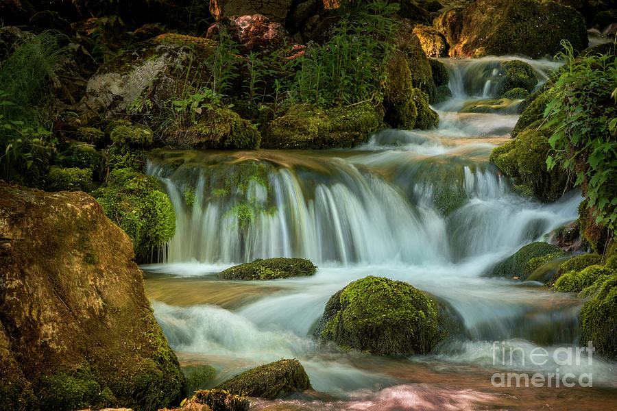 Waterfall #1 Photograph by Jelena Jovanovic