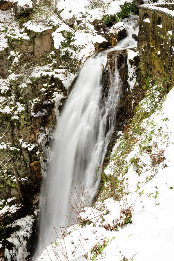Waterfall, Oregon #1 Photograph by Aashish Vaidya