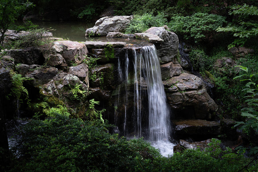 Wildlife Photograph - Waterfall #1 by Steve Purifoy