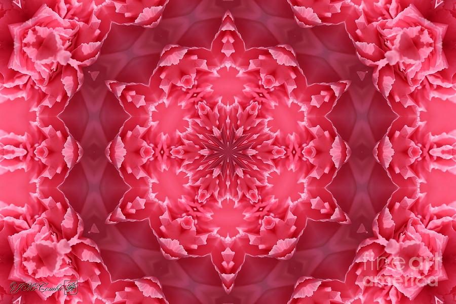 Watermelon Carnation Ruffles Mandala #5 Digital Art by J McCombie