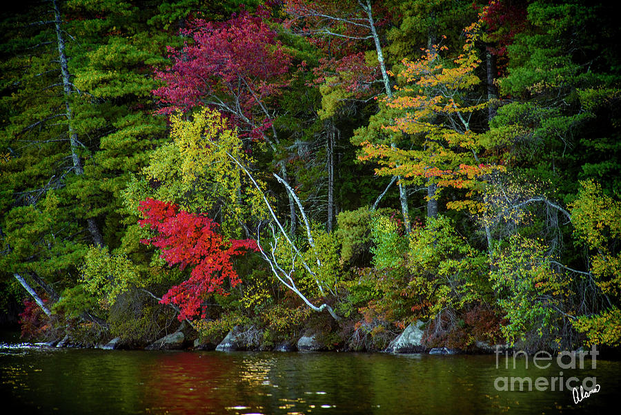 Fall Photograph - Waters Edge by Alana Ranney