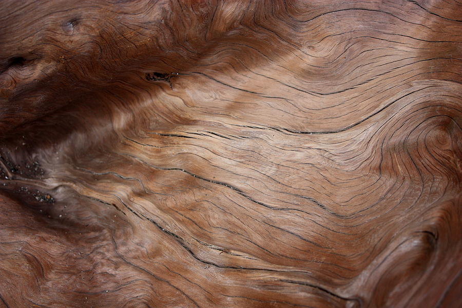 Waves and Wood #3 Photograph by Larry Bacon