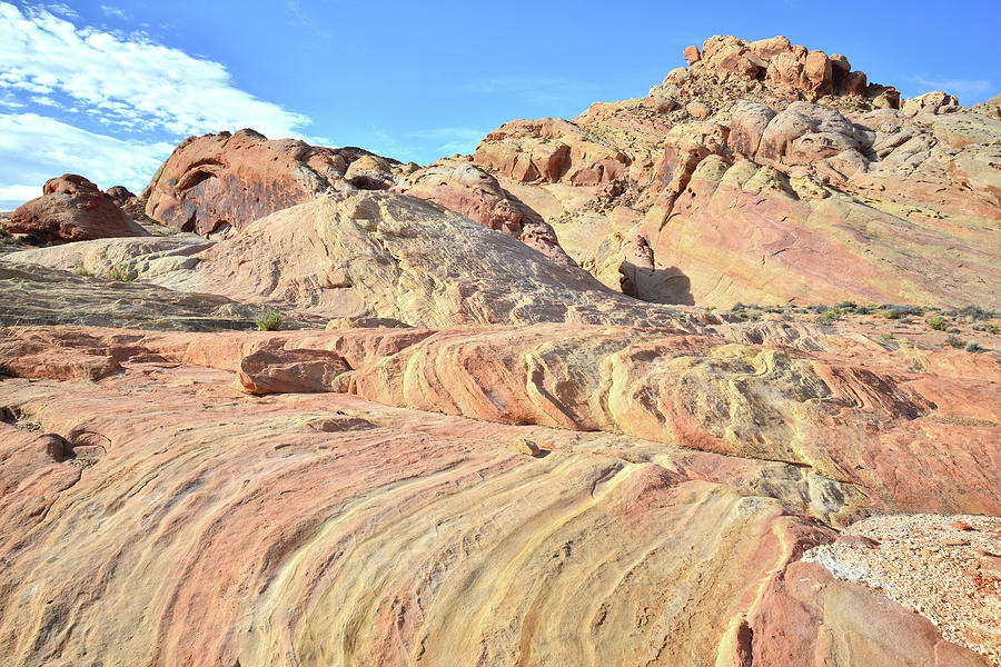 Waves of Color in Valley of Fire #2 Photograph by Ray Mathis