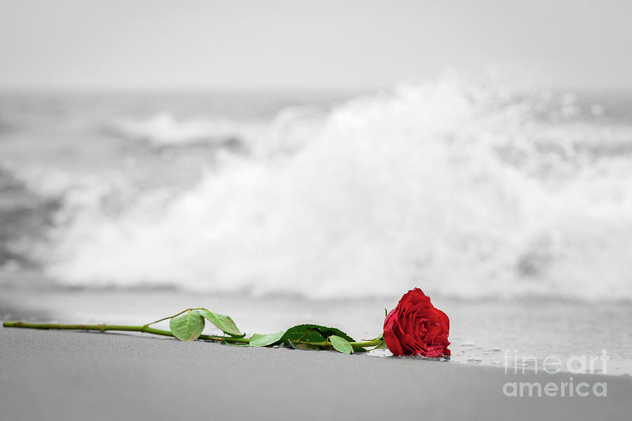 Waves washing away a red rose from the beach. Color against black and white. Love #1 Photograph by Michal Bednarek