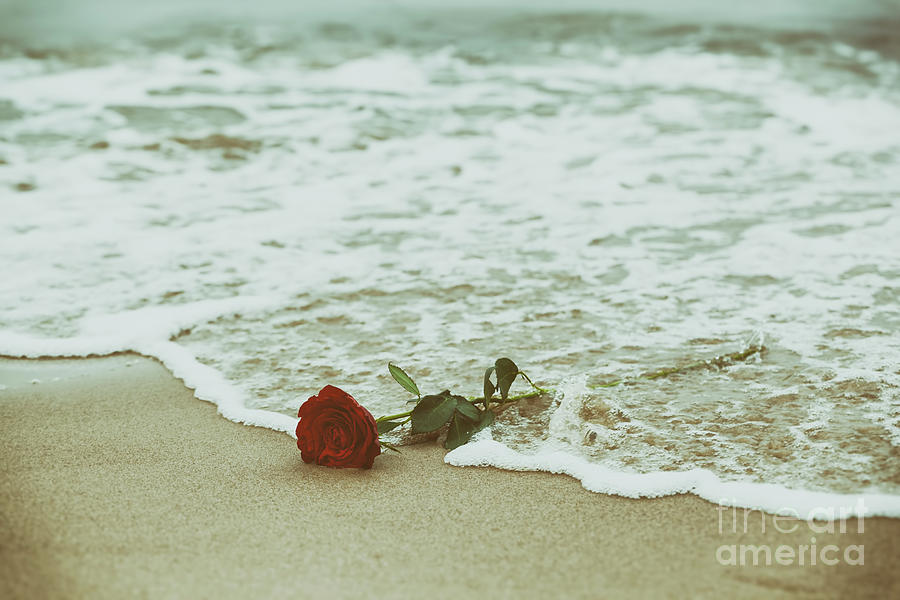 Waves washing away a red rose from the beach. Vintage. Love #1 Photograph by Michal Bednarek