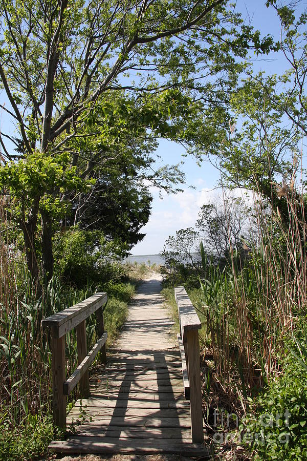 Way To The Beach #2 Photograph by Christiane Schulze Art And Photography