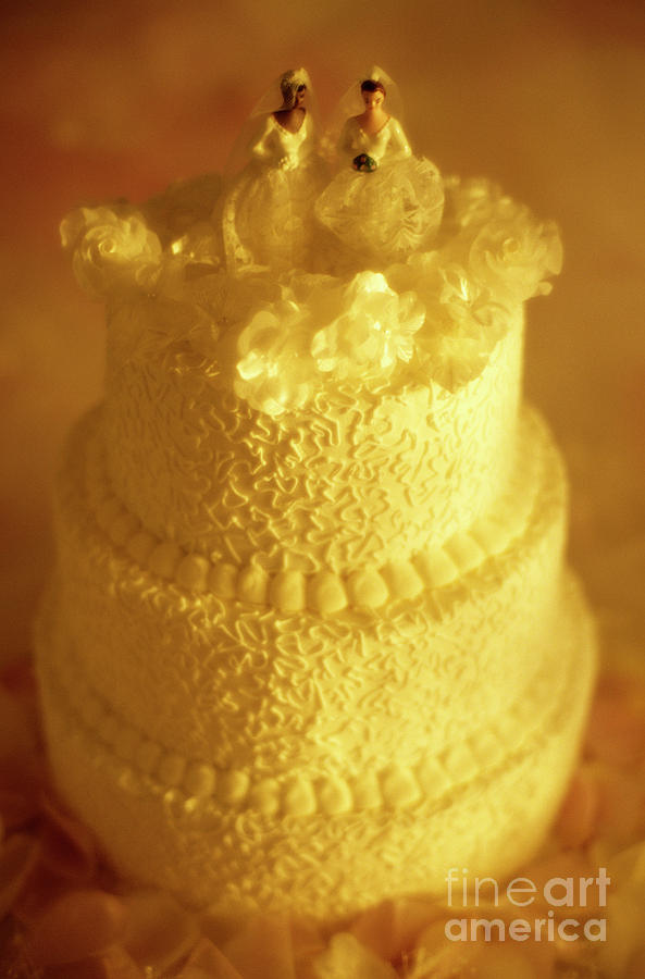 Wedding Cake #1 Photograph by Jim Corwin