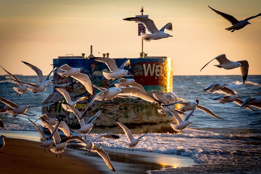 Weko Beach - Bridgman, MI Photograph by Molly Pate