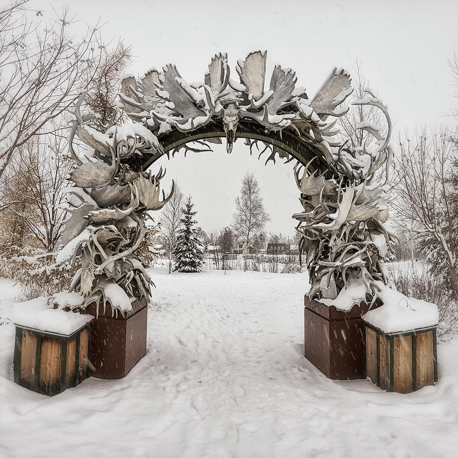 Welcome To Fairbanks #1 Photograph by Robert Fawcett