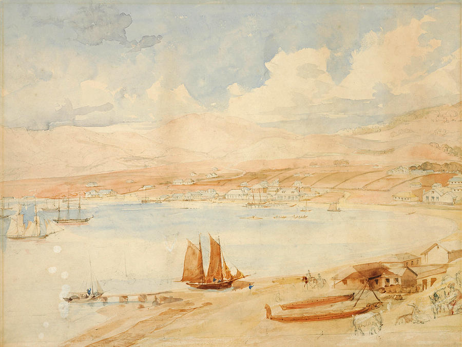 Charles Heaphy Drawing - Wellington Harbour New Zealand #2 by Charles Heaphy