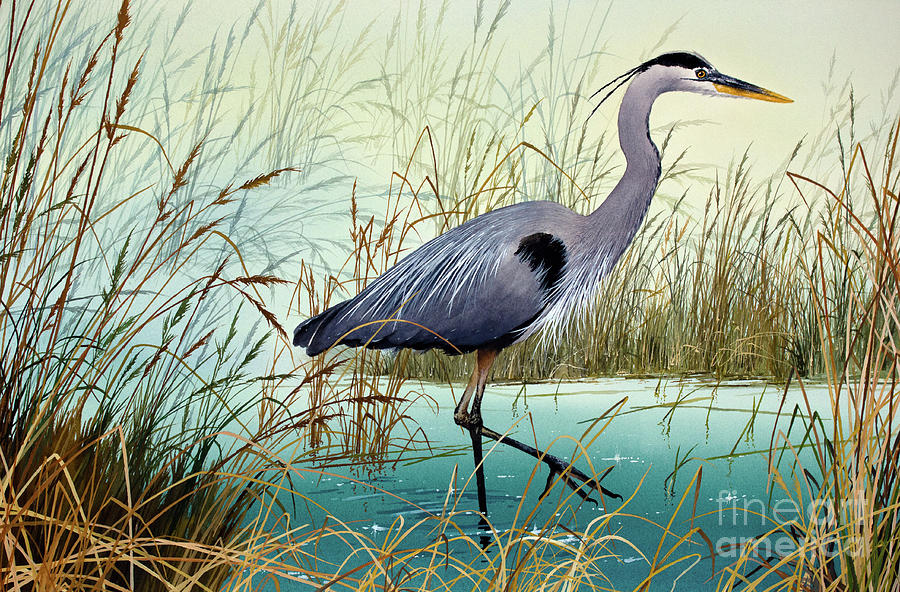Heron Painting - Wetland Beauty by James Williamson
