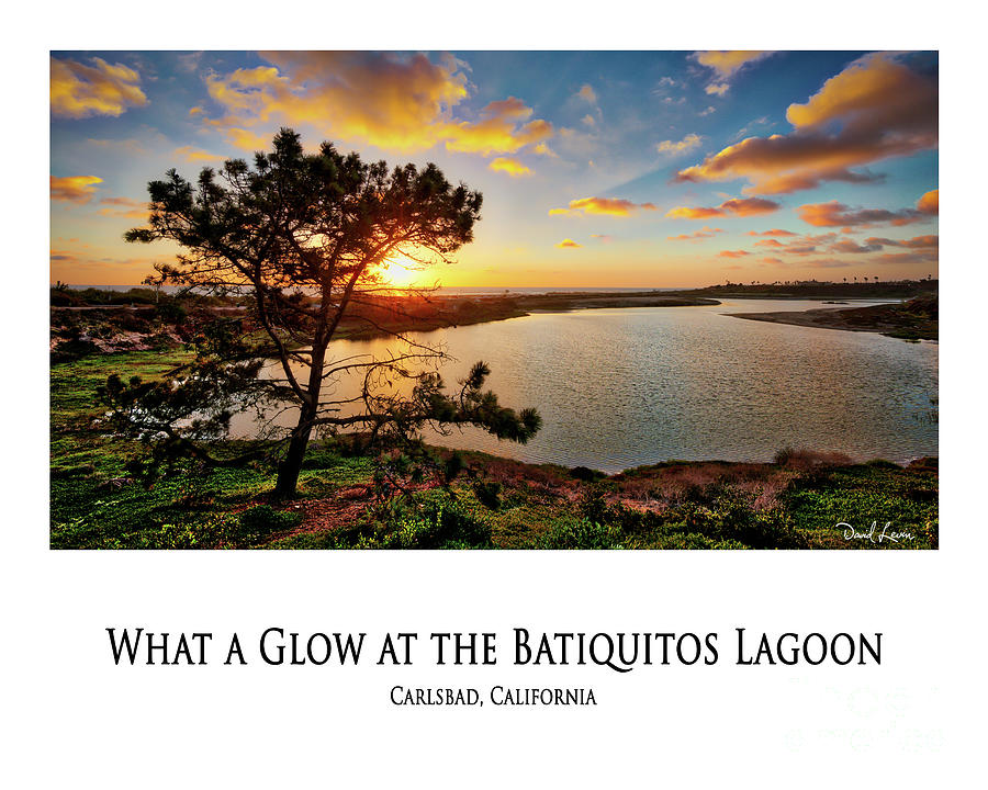 What a Glow at the Batiquitos Lagoon #2 Photograph by David Levin