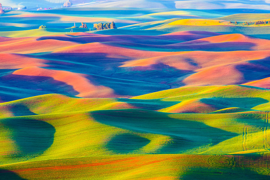 Wheat rolling field - Palouse #1 Photograph by Hisao Mogi
