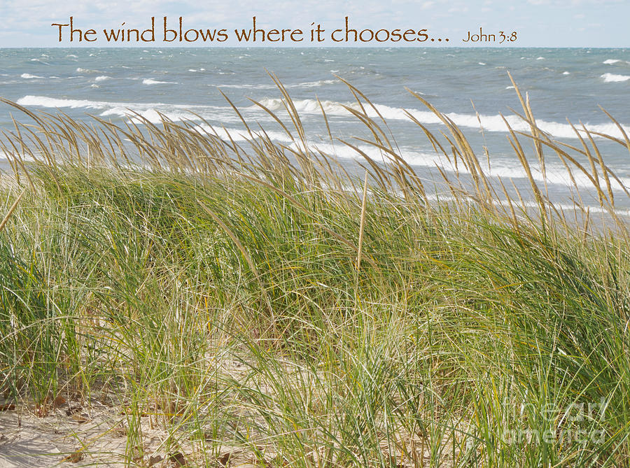 Where the Wind Blows #2 Photograph by Ann Horn