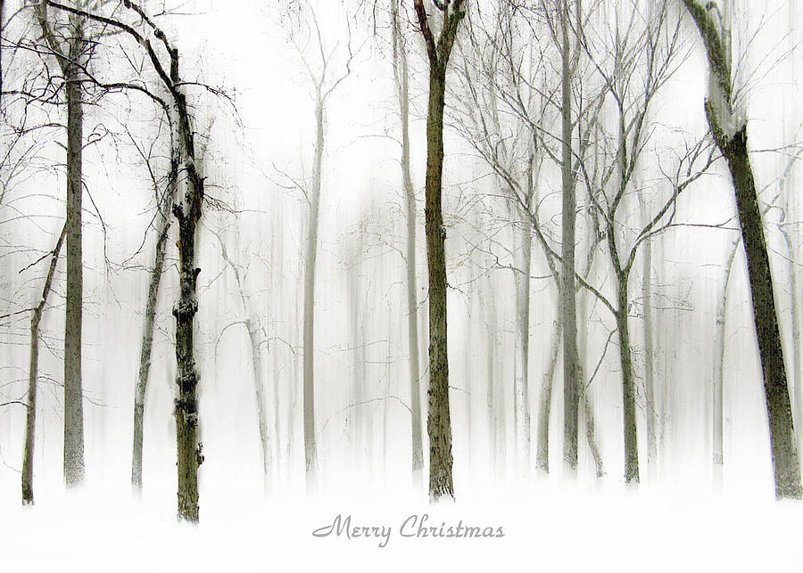 White Christmas #1 Photograph by Jessica Jenney