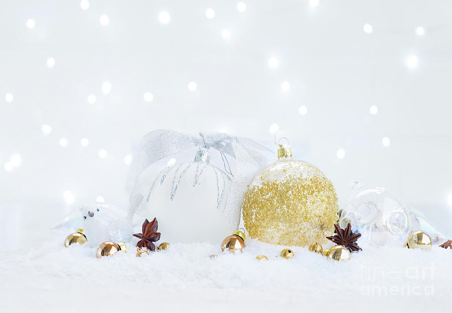 White Christmas II Photograph by Anastasy Yarmolovich